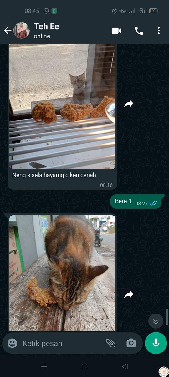 🦋 Majikan yang makan babu yang disuru bayar tiap keluar ngutang diwarung ciken terus