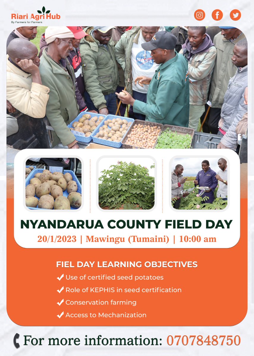 RiariAgriHub's tweet photo. Learning from the best helps you put your best foot forward. Meet and interact with experts during our potato field day in Nyandarua County on Friday this week. 

#CertifiedSeedPotatoes
#ByFarmersForFarmers https://t.co/bm16zkhrDy