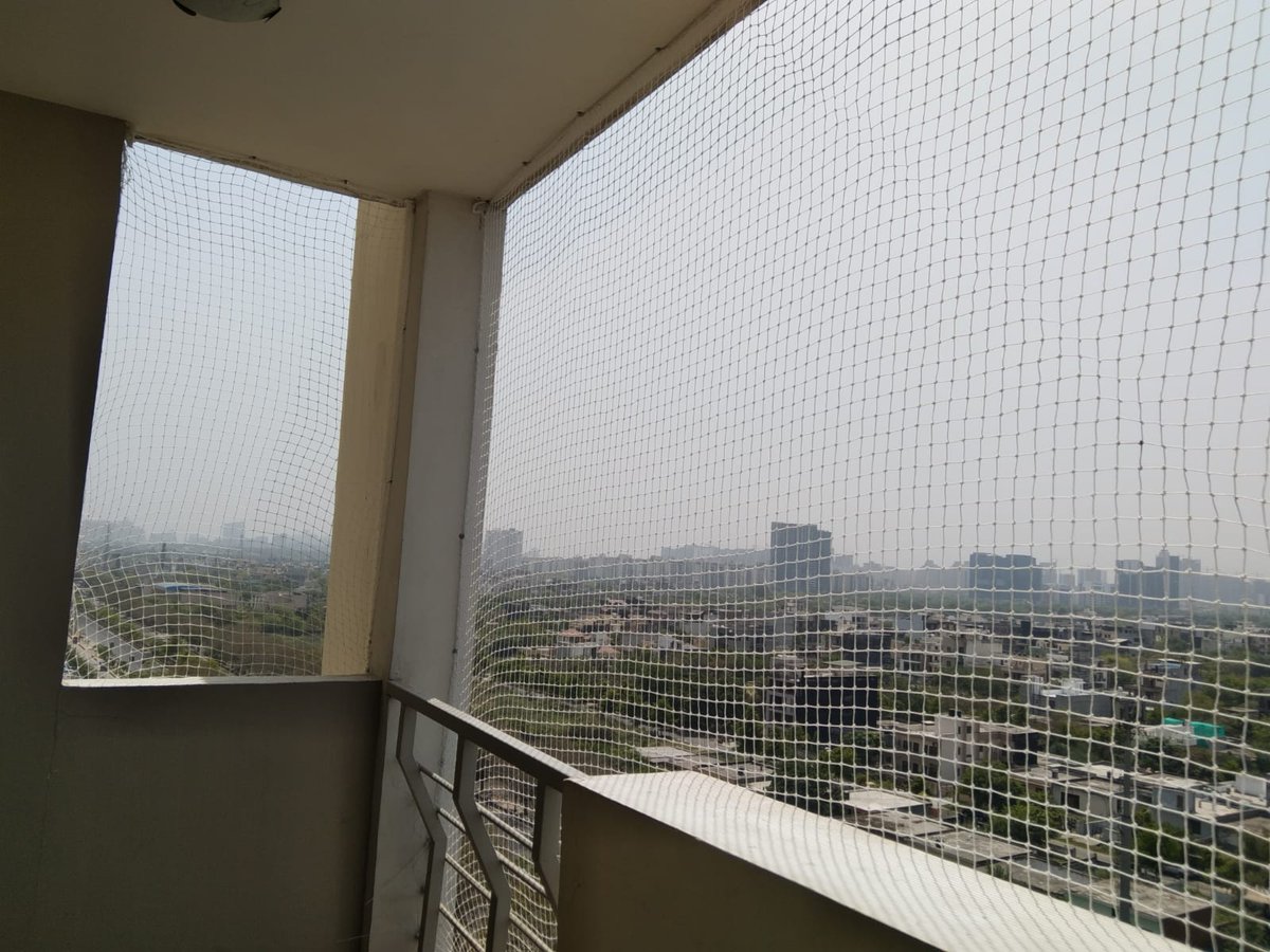 OfficeAVGlobal's tweet image. Disturbed with pigeons in your balcony, Get high quality Anti bird net installation by our company. We have well trained technicians having years of experiences in bird net installation work equipped with all tools and safety equipment.
#antibirdnet #birdnet #birdnetinstallation