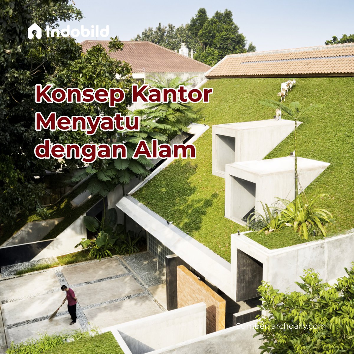 indobild's tweet photo. Hi Homies, Punya kantor di lingkungan penuh tumbuhan. pasti dijamin meningkatkan produktifitasmu! 😁👌 

- IndoThread - https://t.co/5pCYnxo7im