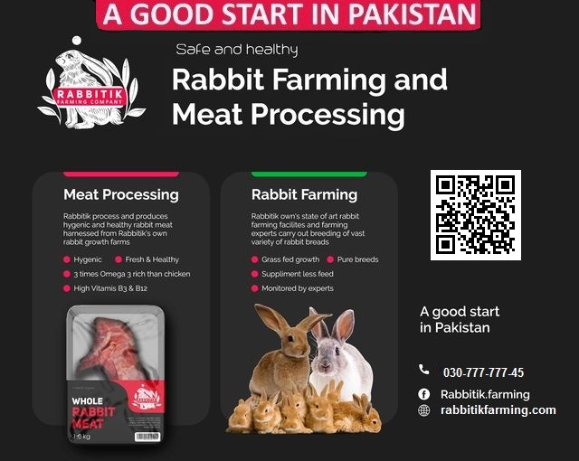 Rabbitik Farming tweet media