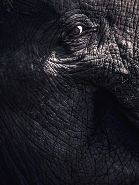 Bambang Pujiatmoko tweet media