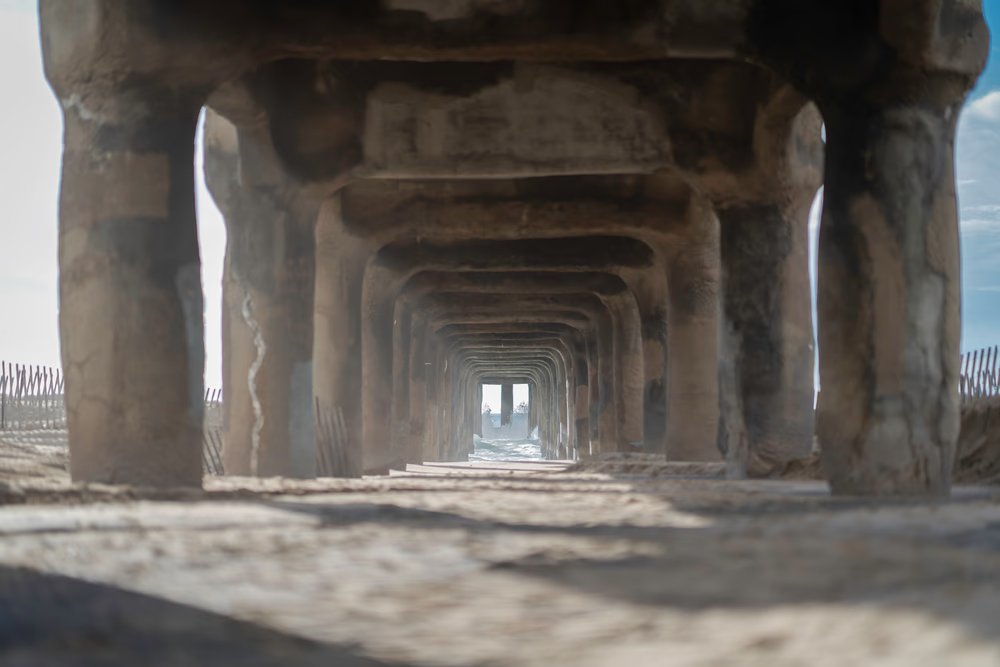 Royce1123.eth tweet media