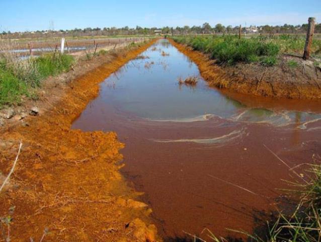 IASSC_2023's tweet photo. REMINDER: 📣📣 Abstracts for the 9th International Acid Sulfate Soil Conference close in 2 WEEKS (Jan 31 2023). Abstract submission and registration via link below 👇: https://t.co/YWEmrfIrcl https://t.co/eZuwTaOLbl
