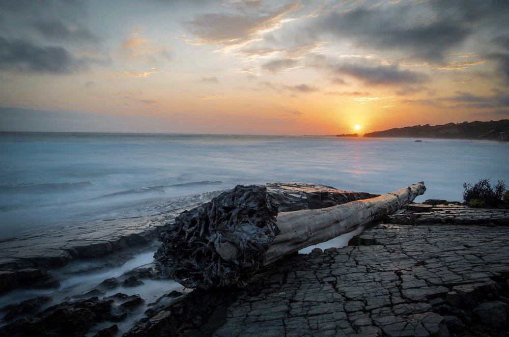 Royce1123.eth tweet media