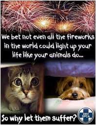 mar8anne's tweet photo. Please STOP the fireworks. #StopFireworks https://t.co/sGiqnE49UN