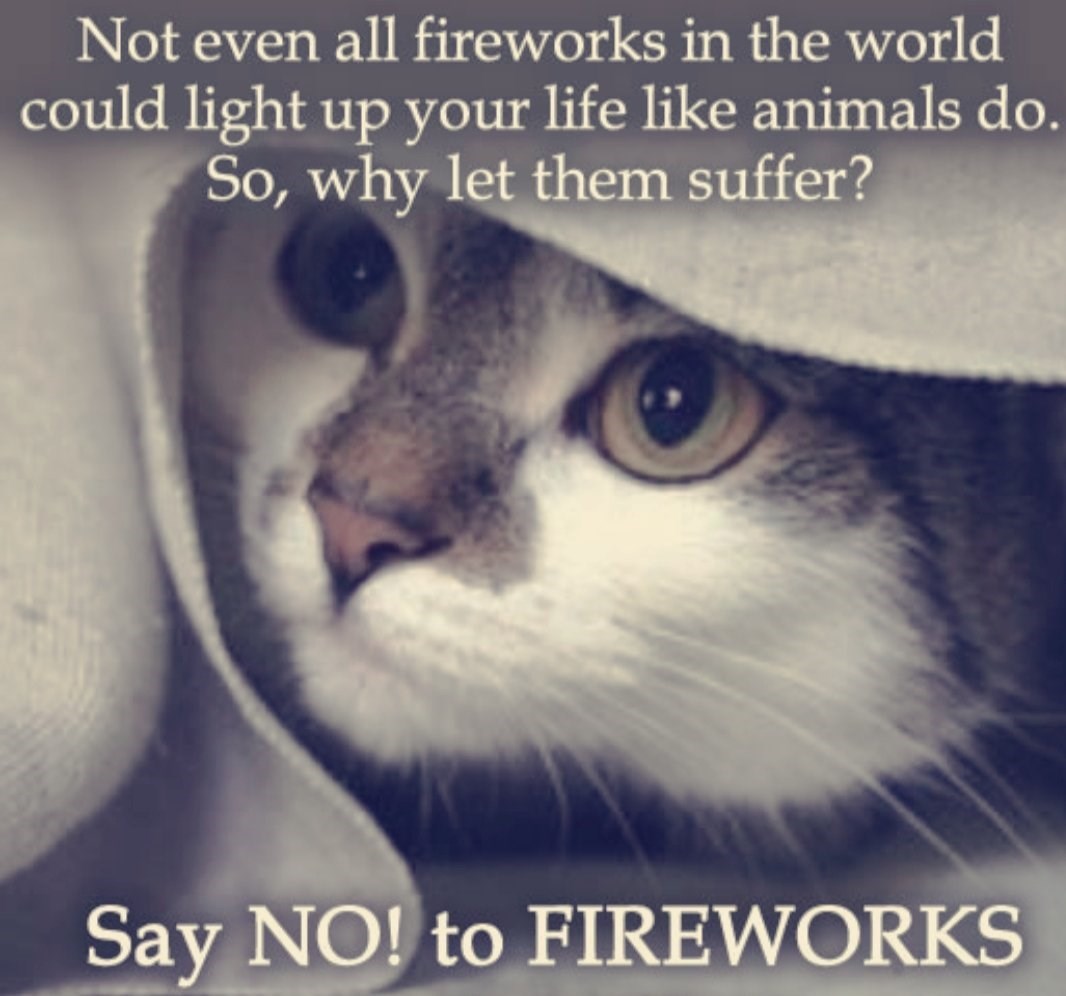 mar8anne's tweet photo. Please STOP the fireworks. #StopFireworks https://t.co/QJo8s3QBOR
