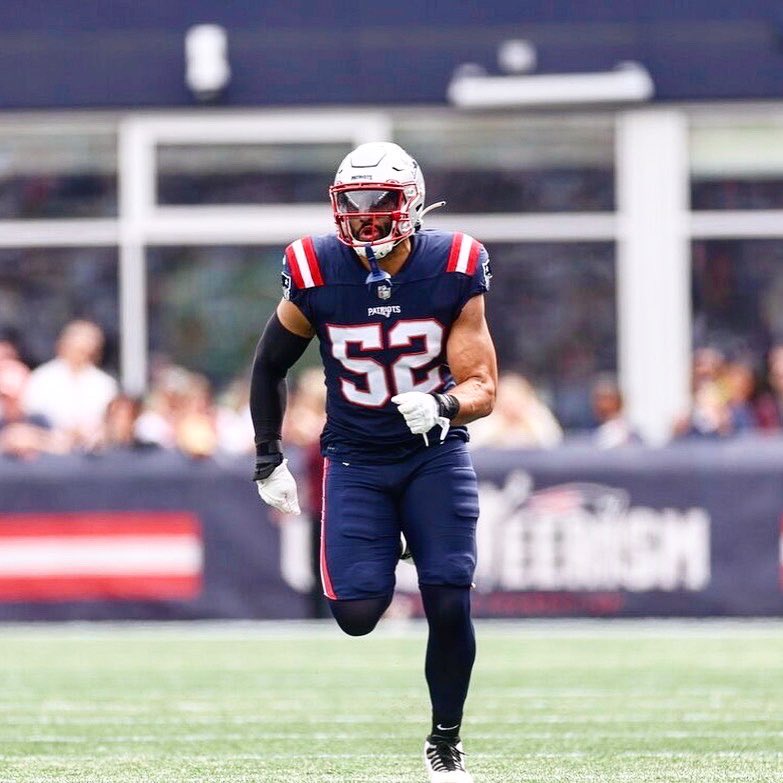 Harvey Langi tweet media