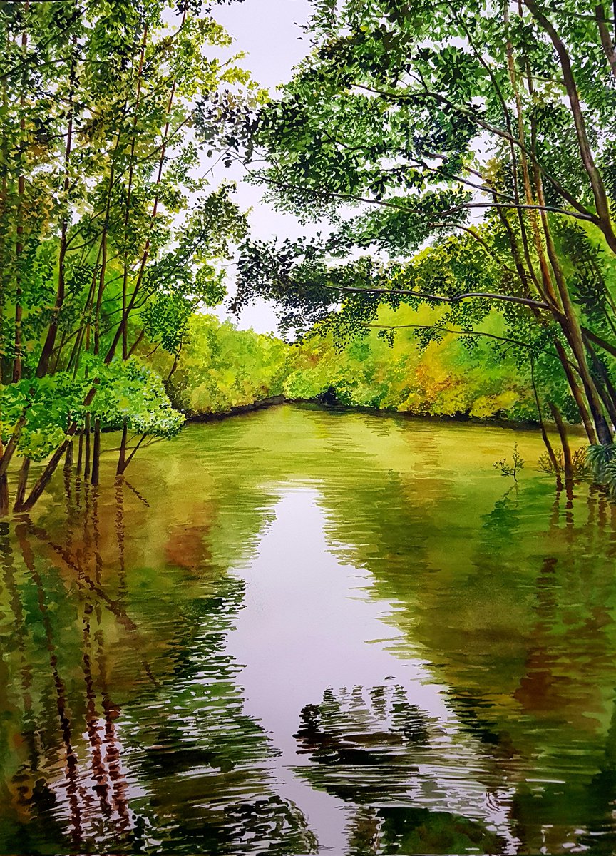 Mangroves in Zamboanga Sibugay #watercolor #watercolors #watercolour #watercolours #watercolorpaintings #filipinoart #filipinoartist #filipinoart #philippineart #philippinepaintings #philippinewatercolor #aquarela #acuarelas #aquarelle #art