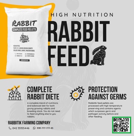 Rabbitik Farming tweet media