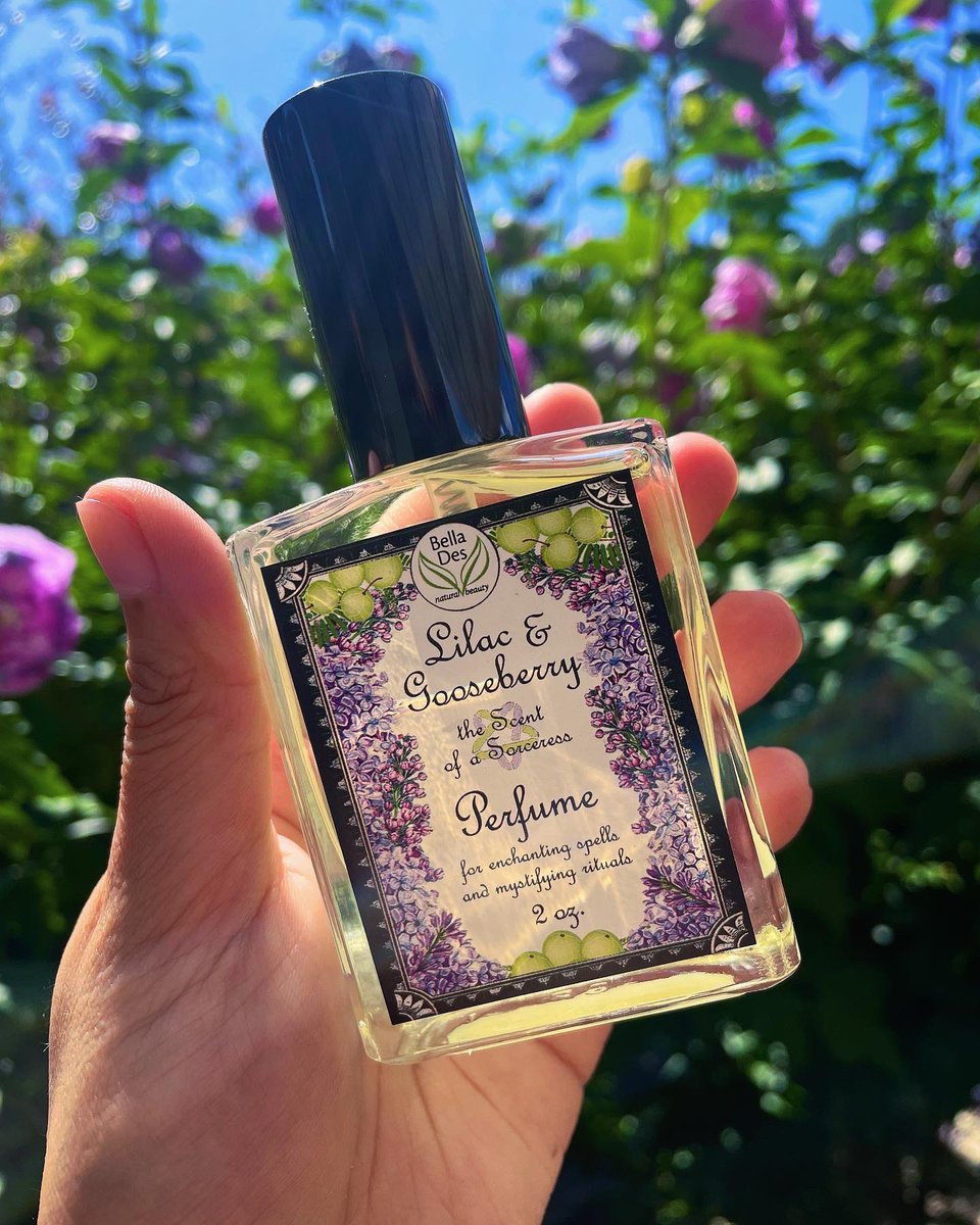 arizeia's tweet photo. 𝔅𝔢𝔯𝔯𝔦𝔢𝔰 𝔱𝔞𝔯𝔱, 𝔩𝔦𝔩𝔞𝔠 𝔰𝔴𝔢𝔢𝔱 🎶
Lilac & Gooseberries perfume by @/bellades
#TheWitcher #YenneferofVengerberg #witchertwt https://t.co/VfZWyxAtwn