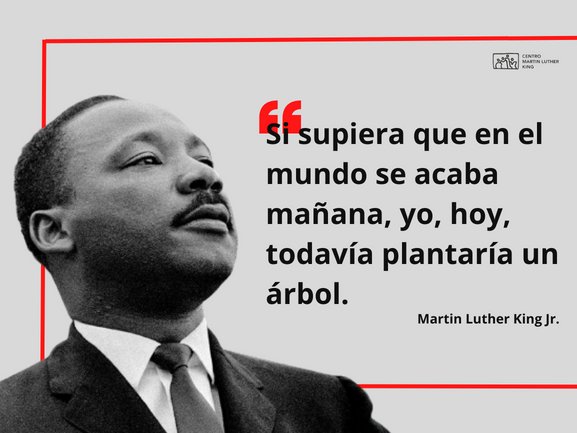 PedroPedrosoC's tweet photo. Dr.Martin Luther King, Jr: "Si supiera que el mundo se acaba mañana, yo hoy, todavía plantaría un árbol". 
Es la convicción de que  #SiSePuede, y la esperanza de que viviremos el sueño. https://t.co/sKov7kvGPe