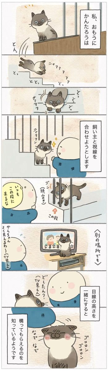 こっち見て!ほらよく見えるでしょ?まんまと猫に誘導される飼い主【連載】ねこ連れ草 261話め|ねこのきもちWEB MAGAZINE https://t.co/jVXGpotZ20 