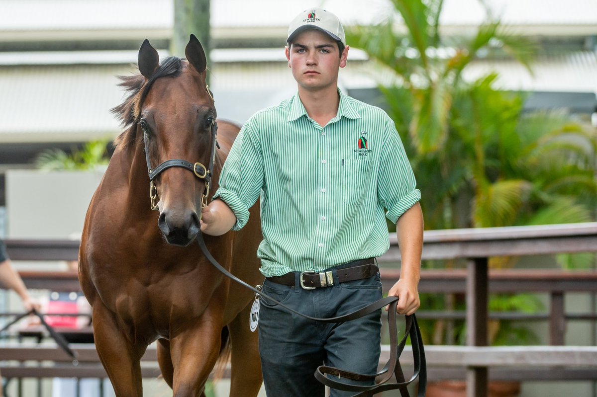 Newhaven Park (@newhavenpark) on Twitter photo Delighted to sell the top lot of the final day <a href="/mmsnippets/">Magic Millions</a>! Lot 1107 by <a href="/eurekastud/">Eureka Stud</a> Spirit of Boom makes $225k to <a href="/munceracing/">Munce Racing</a> <a href="/ArthurHoyeau/">Arthur Hoyeau</a>! Congratulations and best of luck with him! Delighted to sell the top lot of the final day <a href="/mmsnippets/">Magic Millions</a>! Lot 1107 by <a href="/eurekastud/">Eureka Stud</a> Spirit of Boom makes $225k to <a href="/munceracing/">Munce Racing</a> <a href="/ArthurHoyeau/">Arthur Hoyeau</a>! Congratulations and best of luck with him!