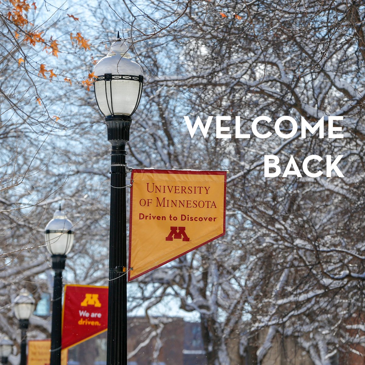 UMNComputerSci's tweet photo. Welcome back to campus Gophers! We hope you have a wonderful semester!
#CSCICommunity https://t.co/U2cEWYv2CB