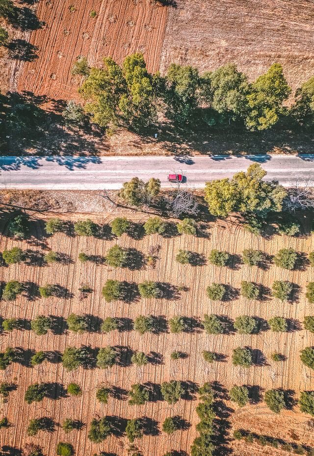 PressGreekEmbas's tweet photo. The annual Αthena International Olive Oil Competition (Athena IOOC) will be held in Kavala, northeastern Greece from May 4 to 6,2023
🔗https://t.co/XChUfSF6q3
@athenaiooc @MinagricPress #athena2023#iooc #vinetum #athenaiooc https://t.co/NE95Ba8amJ