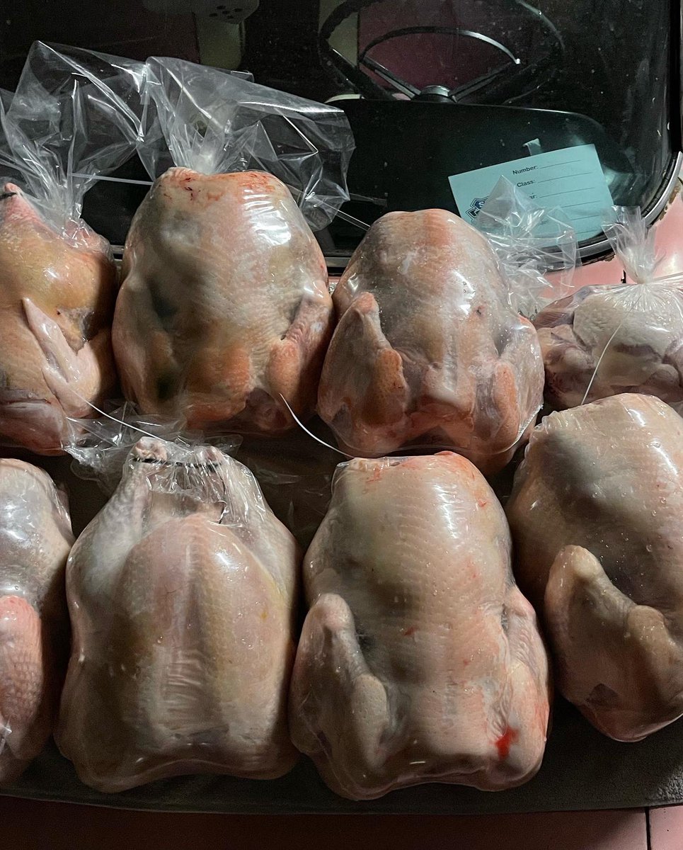 KateYouHandleIt's tweet photo. Raising your own food can bring such blessings as knowing you treated these wonderful creatures with dignity and respect as all creatures on earth should be treated. https://t.co/Z1GHinjX89