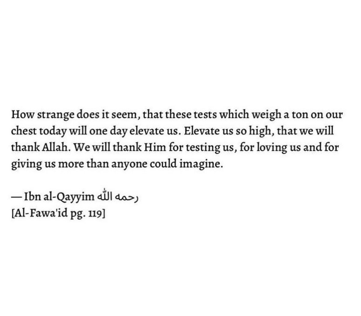 Qur'anic Gems 💎 (@quranicgems_) on Twitter photo 