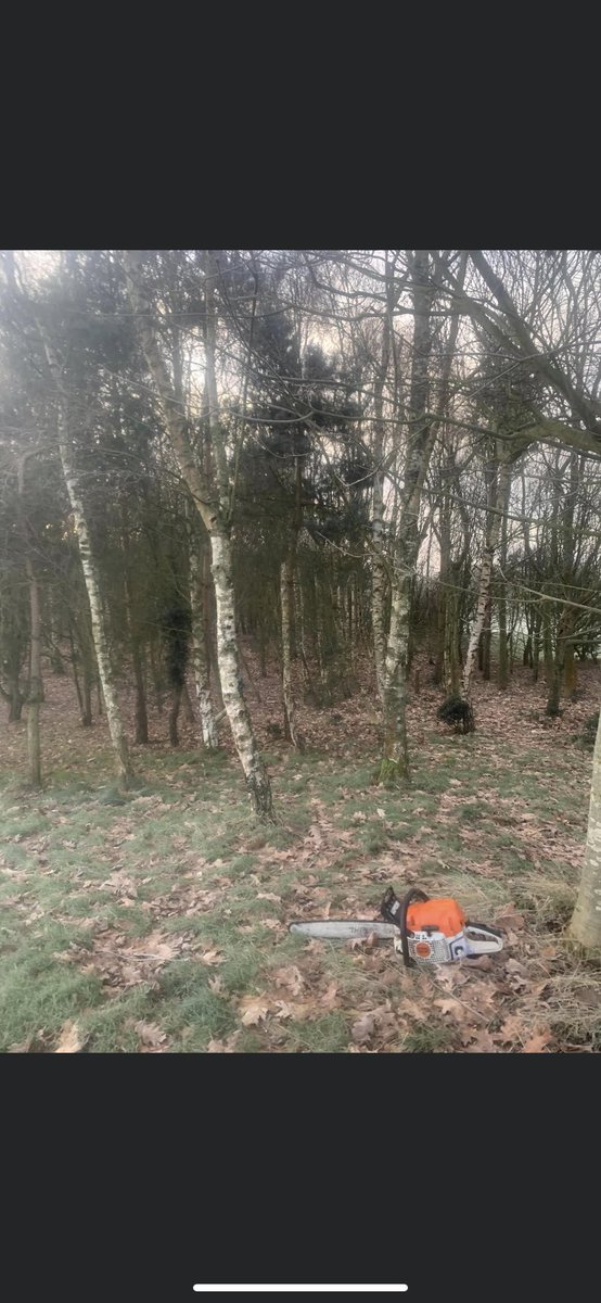 ride_mill's tweet photo. This is where I’ll be spending the next few days. Thinning trees on the right of 17th fairway. https://t.co/mU61ercYf3