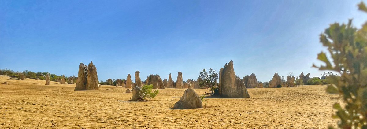 balumbah's tweet image. And in other news #pinnacles