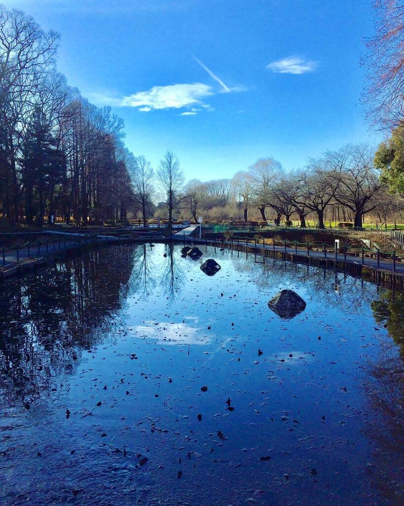 takuji_ichikawa's tweet image. #waterreflection #pondreflection