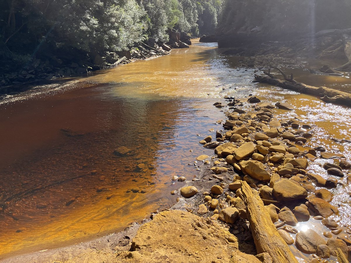 The Confluence, where the highly polluted (from Mt Lyell mine waste) Queen River meets the highly regulated (from a hydro-electric dam &amp; power station) King River- one of the most degraded freshwater systems on the planet adjacent to Tasmania’s  world heritage wilderness.