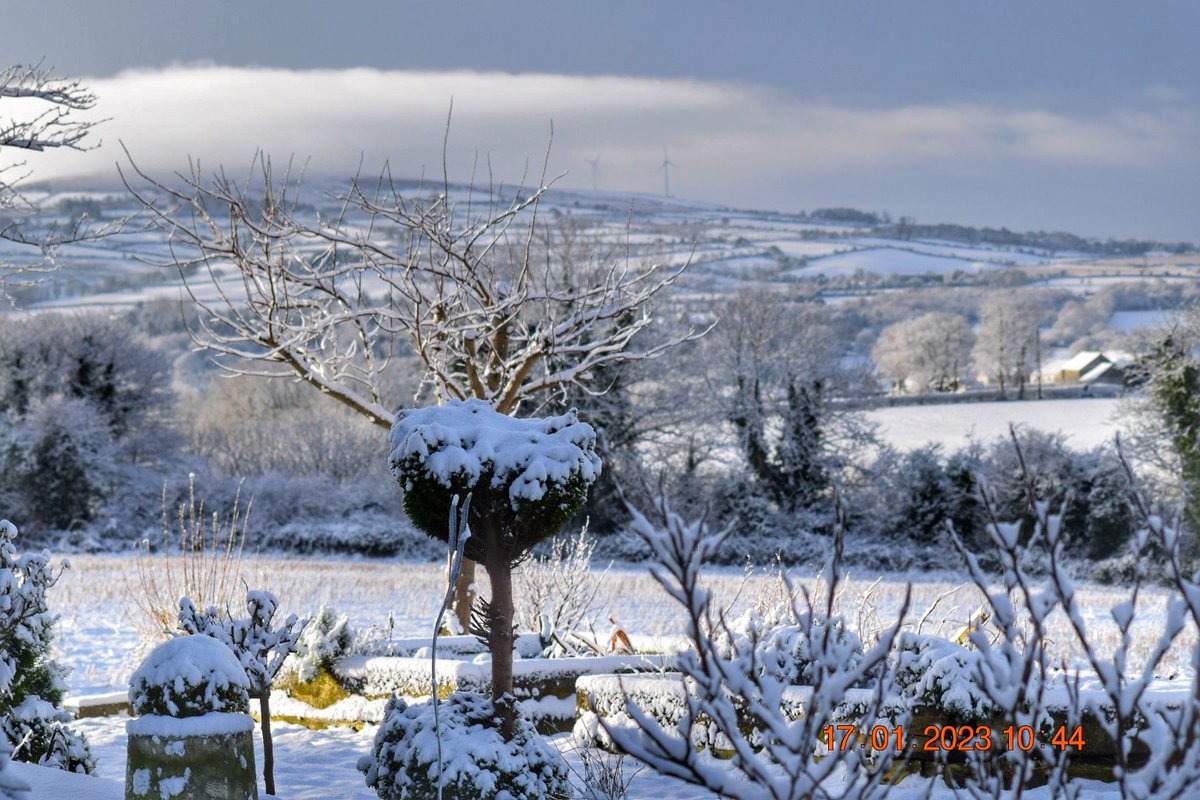Alan Bratton (@alanbratton) on Twitter photo Drumahoe on a chilly morning. Drumahoe on a chilly morning.