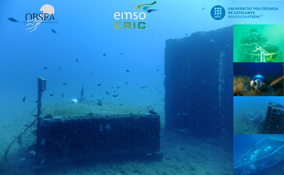 CIT_UPC's tweet photo. El cambio climático está produciendo graves daños en los ecosistemas marinos a causa de la contaminación.
↪SARTI y CATMech de @la_UPC participan en el proyecto #SLAGREEF para fabricar una mezcla de hormigón en 3D para construir biotopos artificiales
🔗 https://t.co/VZHEm8ypKy https://t.co/bP5qQkMszF