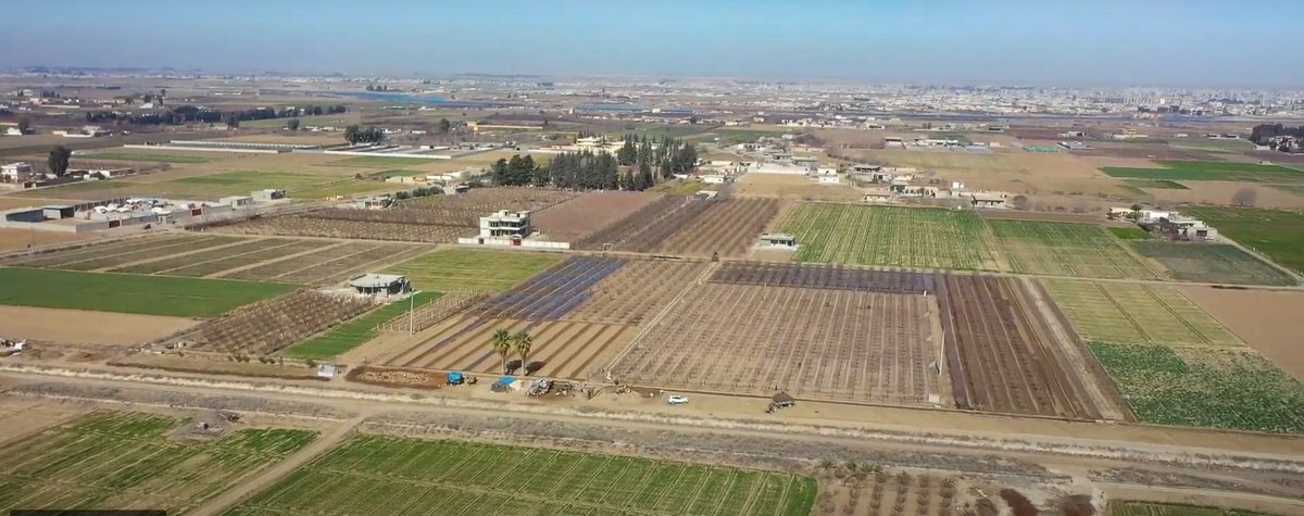 Notah نوتة tweet media