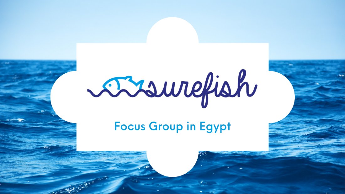 SUREFISH_EU's tweet photo. Egyptians leaned towards #fish🐟 with a neutral taste, low fat, high nutritional #value, without spines &amp; easy to prepare due to the increasing number of #women🙎🏻‍♀️ in labour force.
➡️ https://t.co/U87DHv1HsI 
#SUREFISH #PRIMA #Mediterranean #Fishery #FoucusGroup #QualityControl https://t.co/26Vtkzeuhu