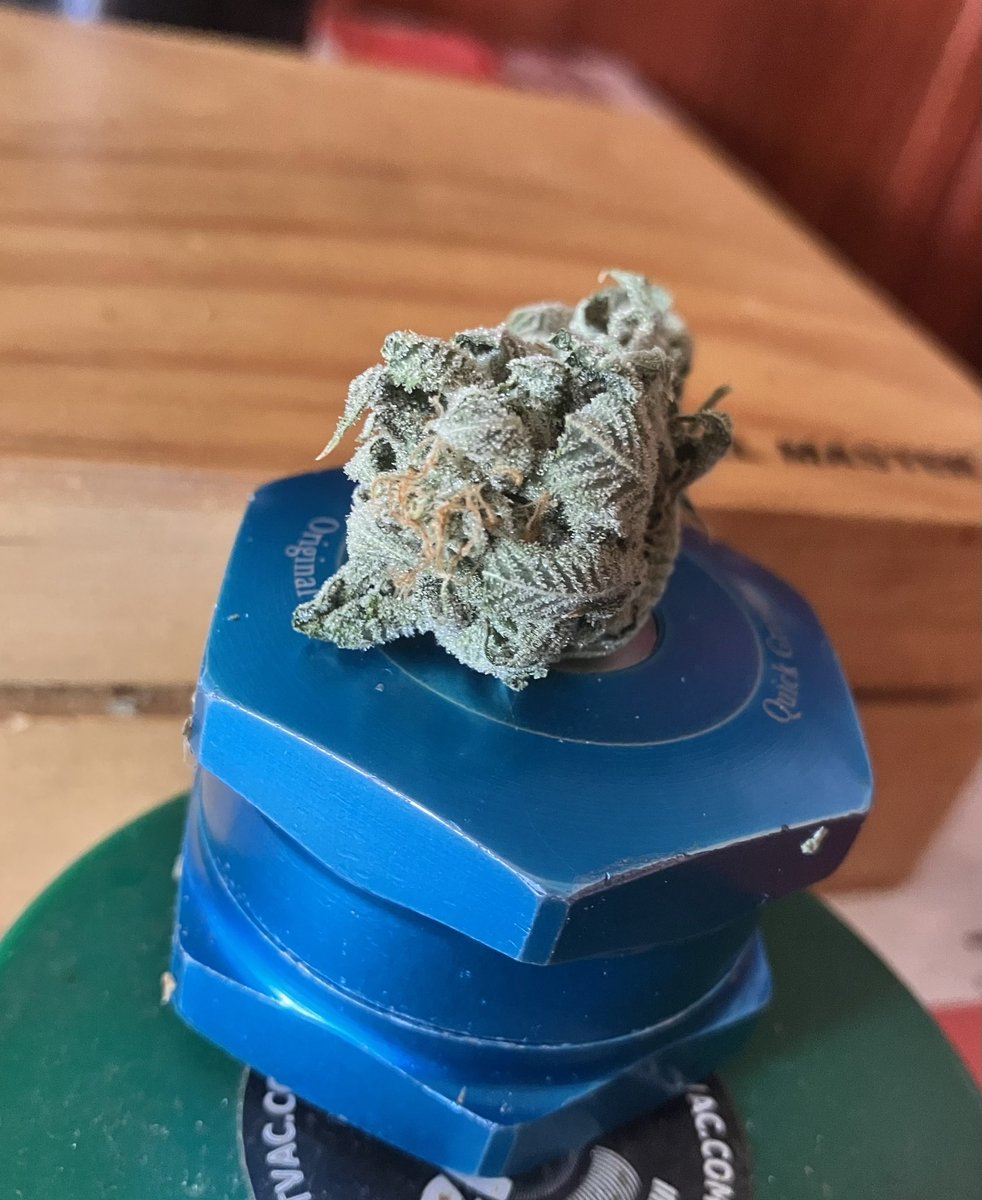 ElBosquedeMaria's tweet photo. 🌱De mañaneo🌱 con una de las mejores genéticas de los últimos meses 😶‍🌫️🤯😮‍💨😵‍💫 te explota en ojo💥😉

#weed #mañaneomarihuanero #tuttigelato  #EBMgrowshop #growshopCastroUrdiales #growshop #growshopElBosquedeMaria #growshopCantabria #autocultivo #autoconsumo https://t.co/DLwcsMYURh