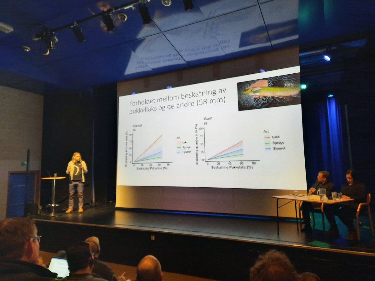 JaakkoErkinaro's tweet photo. Seminar on Pink salmon in northern Norway; possibilities for mitigation and effective removal fishing on the Barents sea coast and in the Teno/ Tana river.
@LukeFinlandInt @miljodir @NINAforskning @mmm_fi @vitenskapsradet https://t.co/dm55PJPAvd