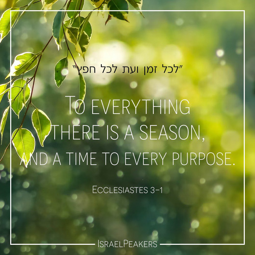 IsraelPeakers's tweet image. There is a time for anything !❤️😊 
#israelipeakers
#mypeakchallenge
#mpc2022
#motivationalquotes 
#motivation 
#peakerpower
#tuesdaymotivation 
#tuesdaywisdom 
#wisdomquotes