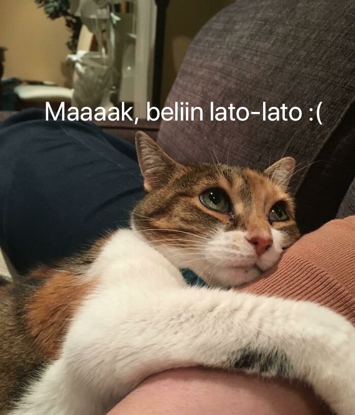 PenghiasTL's tweet photo. https://t.co/frT8p1qIKw