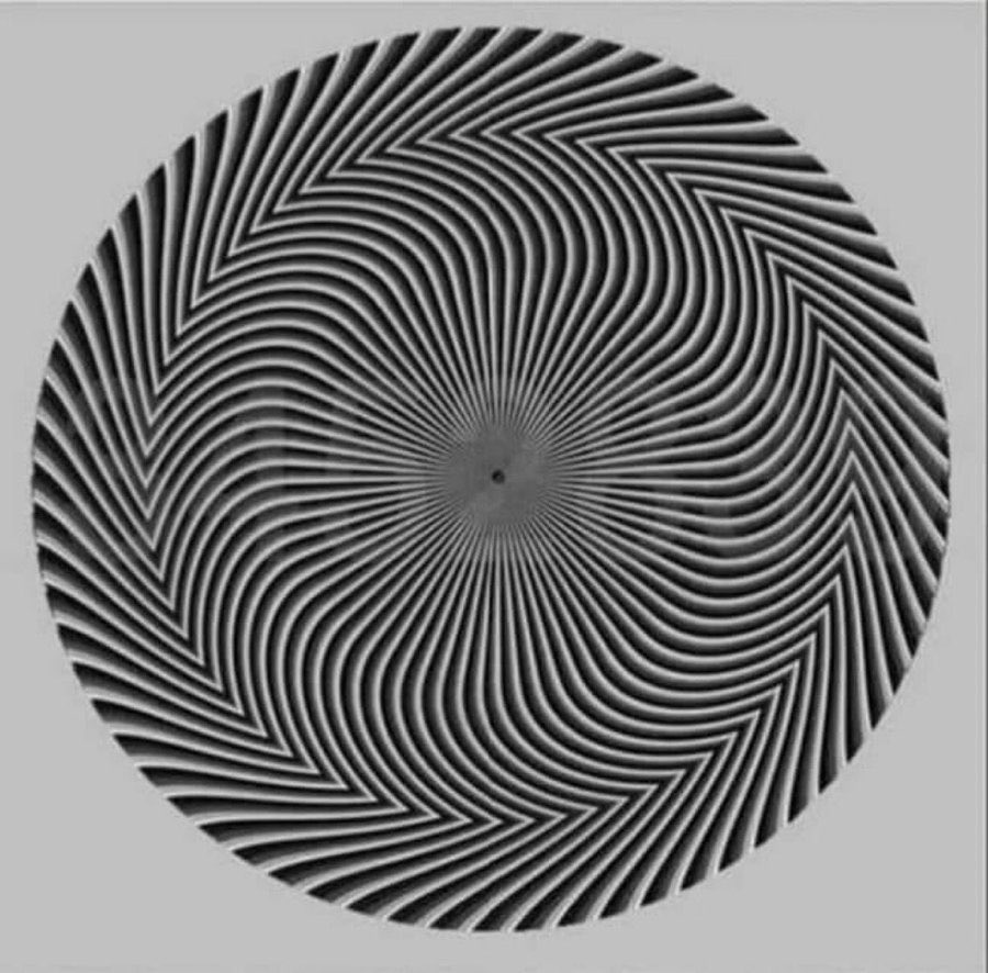 JeetuncyadavInc's tweet image. Test your observation skills:

How many numbers can you see?
@MSDESkillIndia
@skilltest #skillstest
@ABPNews
@aajtak
