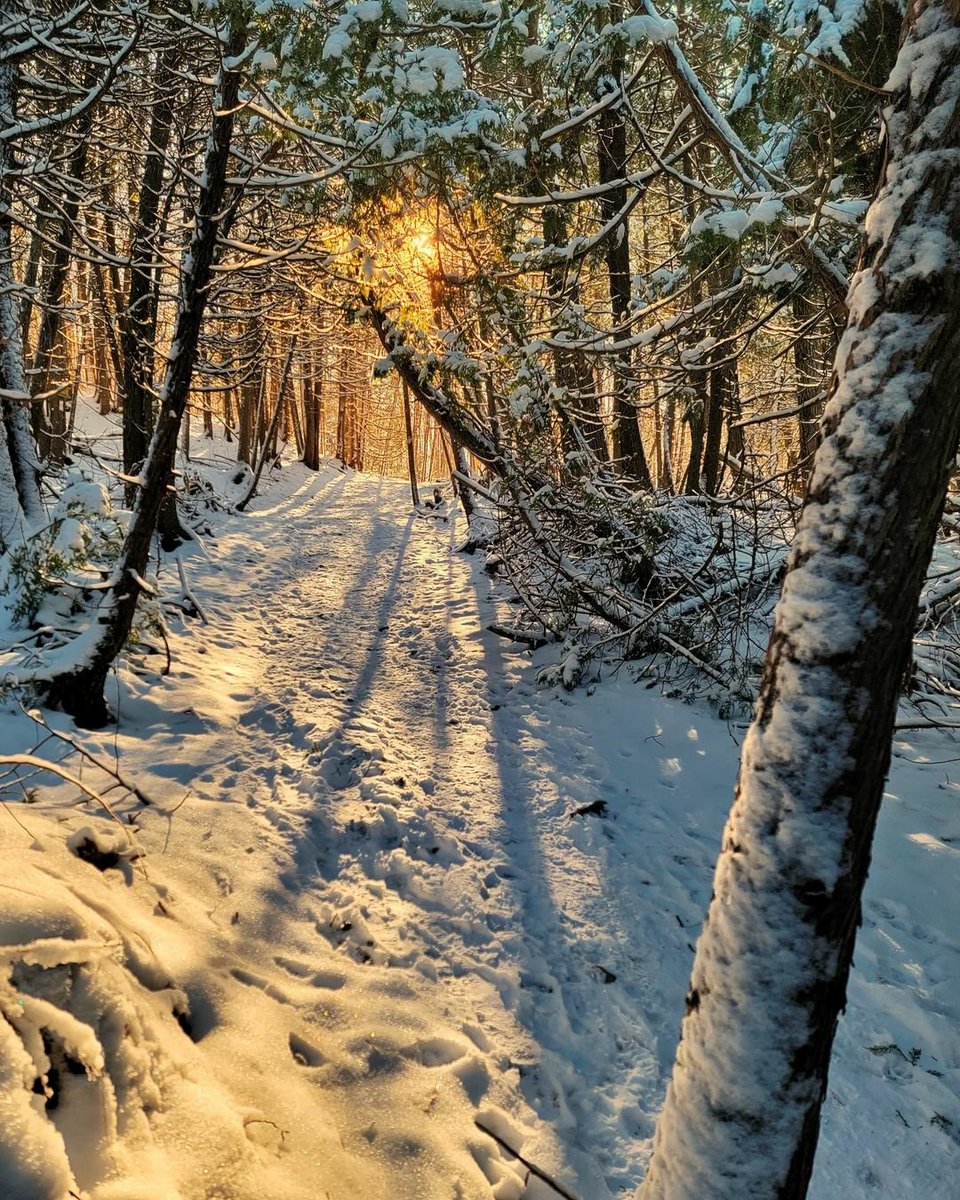 kawarthaNOW's tweet photo. Good Tuesday morning our #kawarthapeeps from Kirk Hillsley on the Millbrook Valley Trails. Follow the photographer on Instagram at https://t.co/4lPnWLb2CQ

#millbrookvalleytrails #millbrookON #cavanmonaghan #millbrook #ptbokawartha #thekawarthas #ptbocounty #kawarthas https://t.co/q8CbCYG8oV