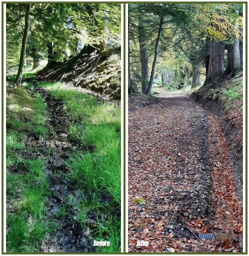 PKCTrust's tweet photo. Did you hear - the stunning #woodland #path at Murthly Sawmill (SPIT/113) is now more accessible for everyone thanks to over £5,000 of #pathimprovement works!🌳🌺🥾
https://t.co/4MtFdW3pf4
#sserenewables #rivertayway #dunkeld #woodlandwalk #nomoremuddyboots #perthshire https://t.co/QDZAqISX1V