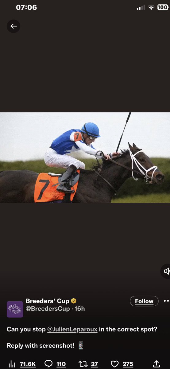 Shayne_Smoothy's tweet photo. @BreedersCup @JulienLeparoux https://t.co/brYFHTkm4D