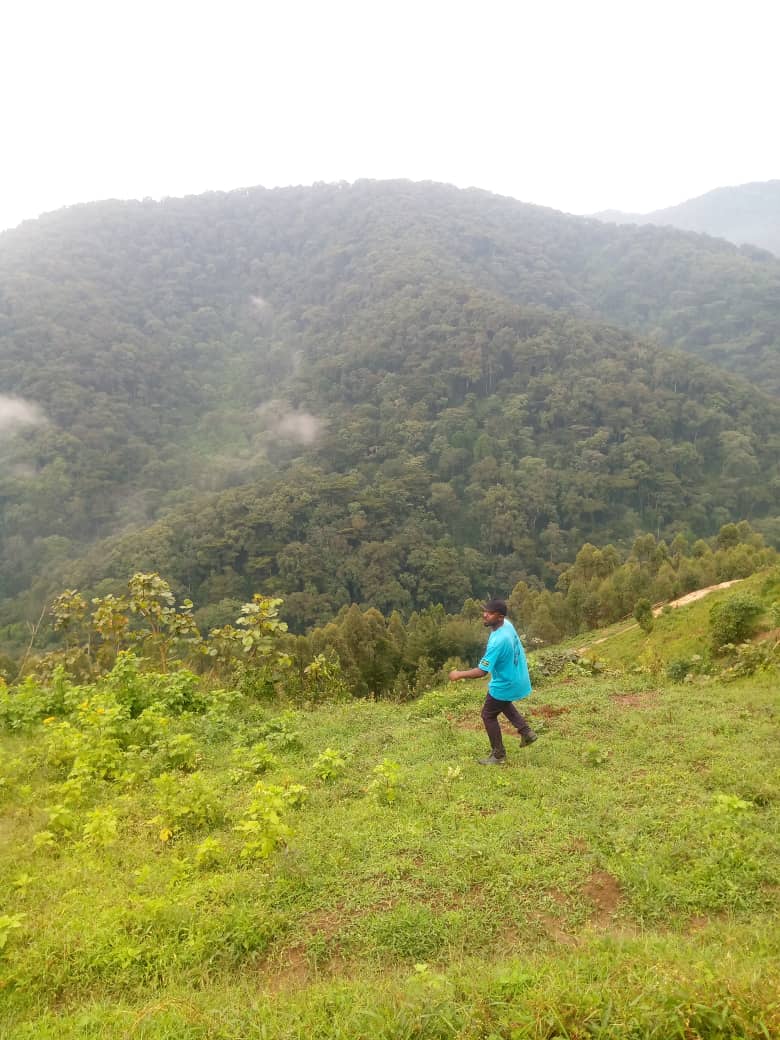 Dr_JibCares's tweet photo. Hello @MTWAUganda as we greatly appreciate all efforts towards the protection of Uganda's Forestry Cover, 

I thought of solving the existing challenges as turn Central Forest Reserves into National Game Reserves !

Aren't we #transfering problems?

Cc @KigoziMaggie @LillyAjarova https://t.co/fz6upfebI4