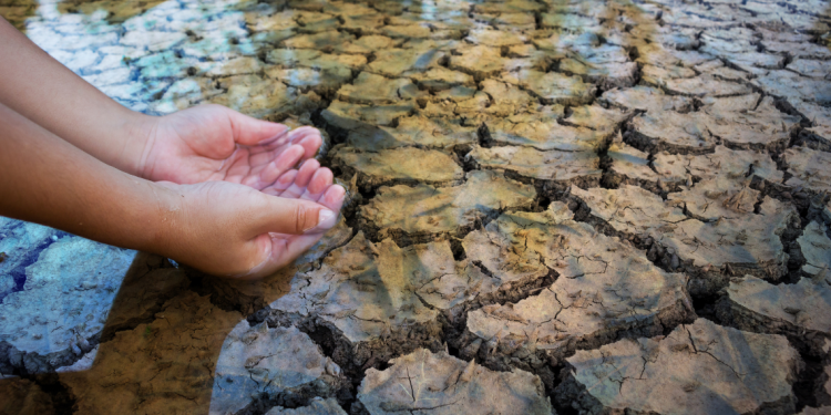 BlogCush's tweet image. 12 Tips for Conserving Water During a Drought blogcush.com/12-tips-for-co… 
#drought #water #humanity