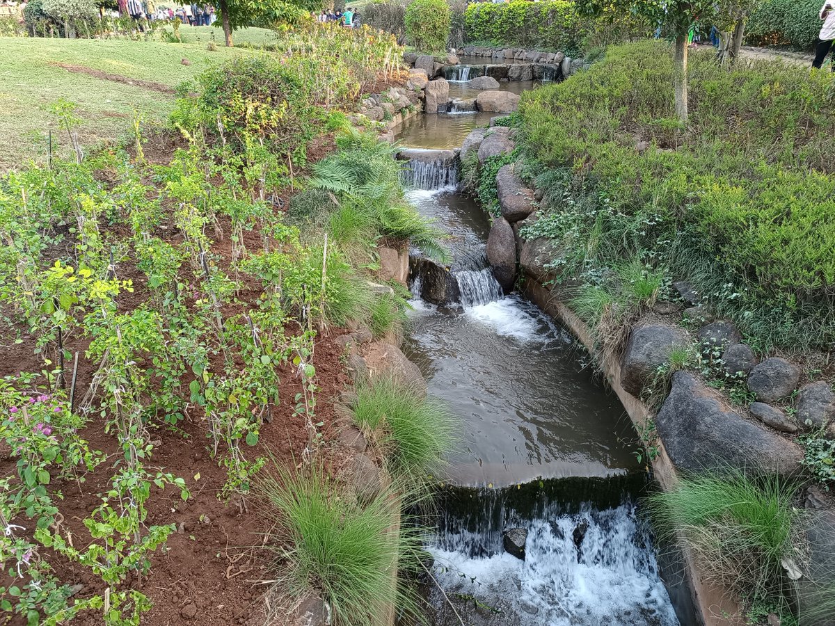 tecworkz's tweet image. Working on camera review of the #RedmiNote12ProPlus 
In this thread, I will be posting some of the shots that I took with it. Let me know your thoughts. 
Starting with the 12MP daytime shots.