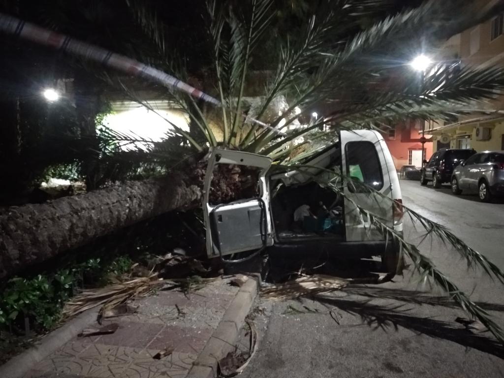 Se rompe palmera por la mitad en Picassent y destroza un coche en la vía pública. 
<a href="/GVA112/">Emergències 112CV</a>
#BorrascaGerard