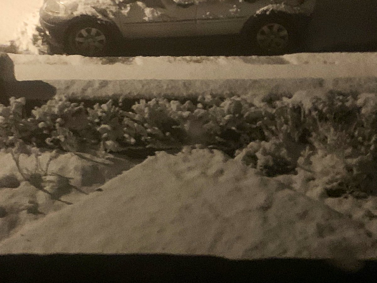 hallicious1's tweet photo. @CornwallLive A winter wonderland in Redruth. https://t.co/qBIh3RfMzw