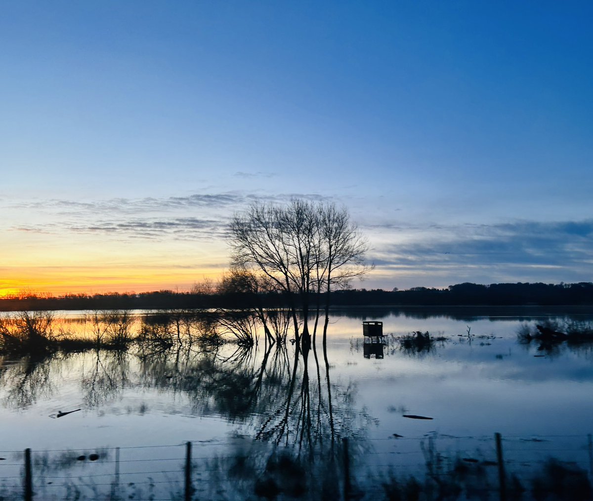 AliWare14's tweet photo. Winter beauty from the train….. https://t.co/WtBWHsziBv