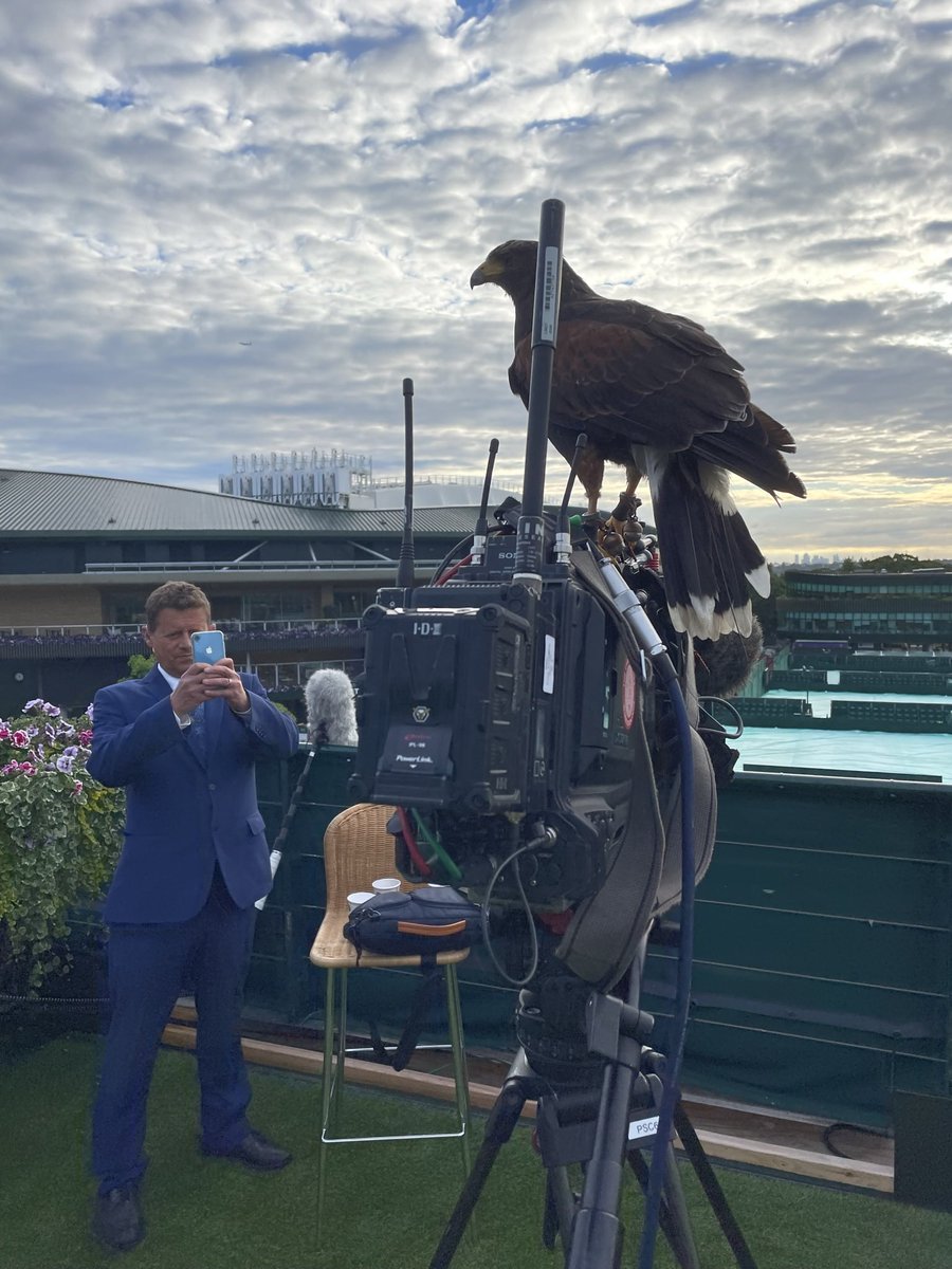 Tim Langston Jones tweet media