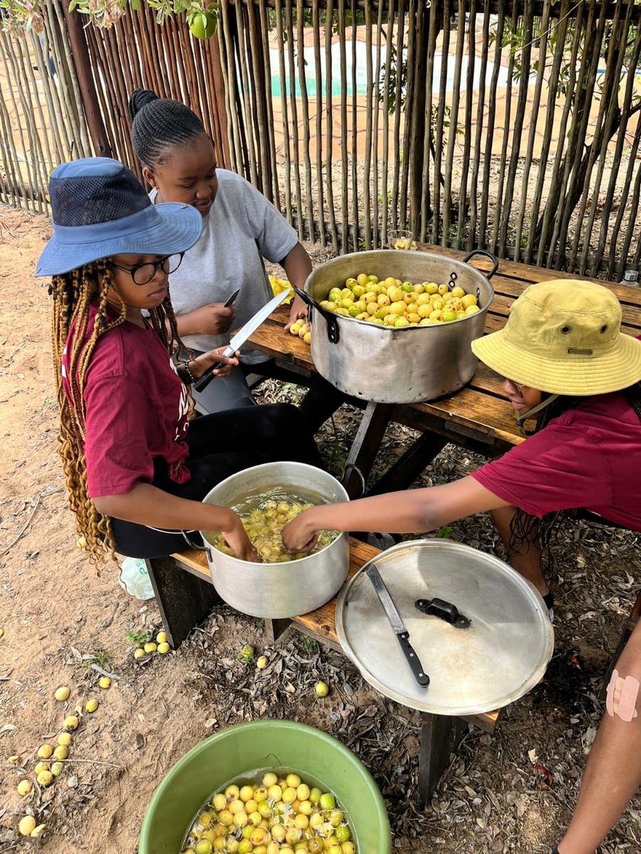 We are introducing another syrup flavor in 2023, this time Marula syrup. We can't wait to try it.😊