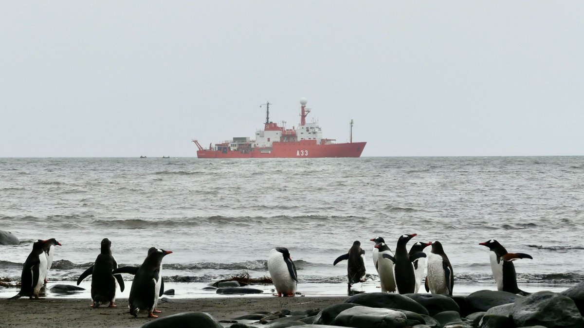 Armada (@armada_esp) on Twitter photo El Buque de Investigación Oceanográfica #Hespérides continúa con los proyectos científicos de su #XXVIICampañaAntártica, llevando a cabo una campaña científica combinada de los proyectos "Challenge", "Goleta" <a href="/GoletaUgr/">GOLETA_UGR</a> y "Perpantar" <a href="/mncn_csic/">Museo Nacional de Ciencias Naturales</a>.
#SomosLaArmada🇪🇸⚓️ El Buque de Investigación Oceanográfica #Hespérides continúa con los proyectos científicos de su #XXVIICampañaAntártica, llevando a cabo una campaña científica combinada de los proyectos "Challenge", "Goleta" <a href="/GoletaUgr/">GOLETA_UGR</a> y "Perpantar" <a href="/mncn_csic/">Museo Nacional de Ciencias Naturales</a>.
#SomosLaArmada🇪🇸⚓️