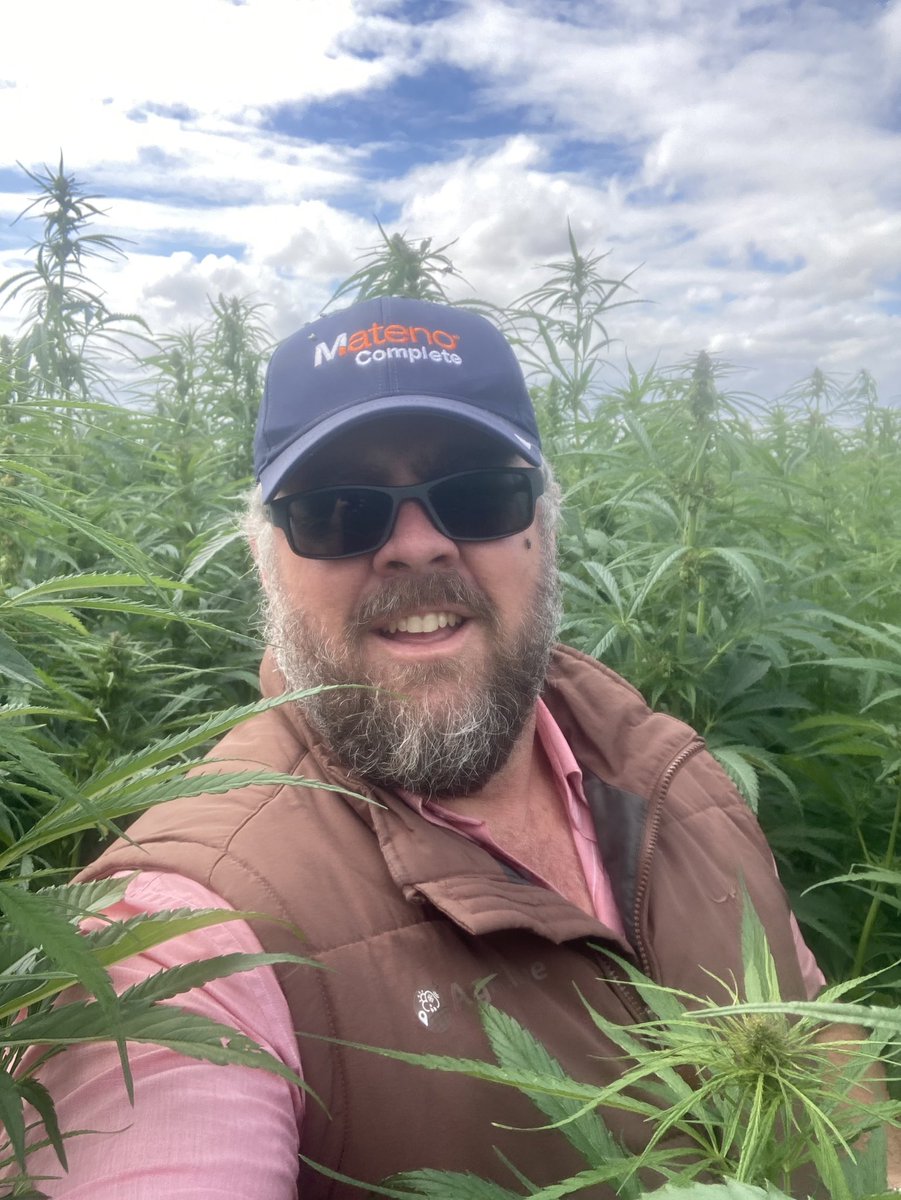 James Bee tweet media