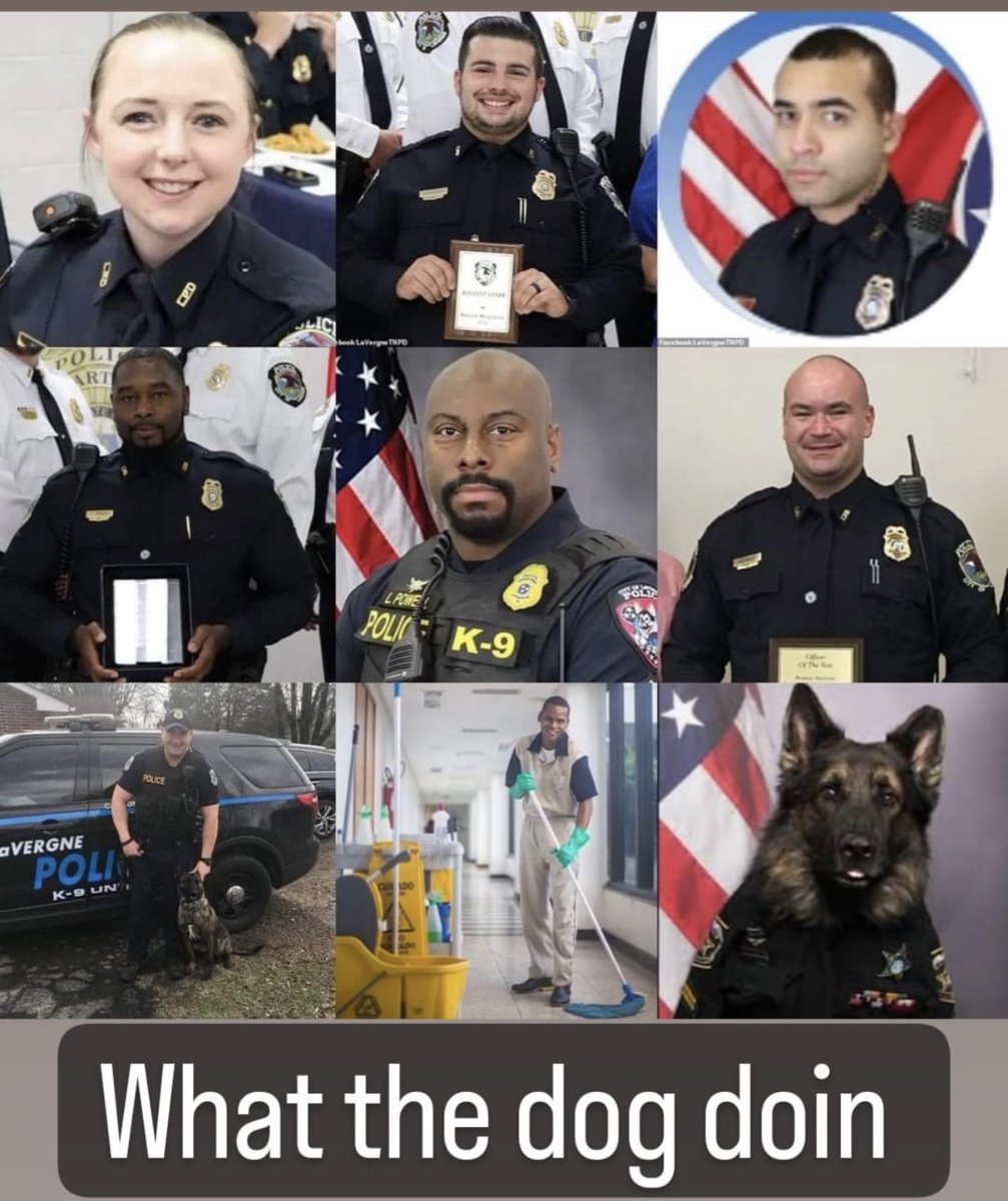 SVPADUPA's tweet photo. @cornski This the line up how the dog in there? #SheFreaky https://t.co/QzyfBsSe79