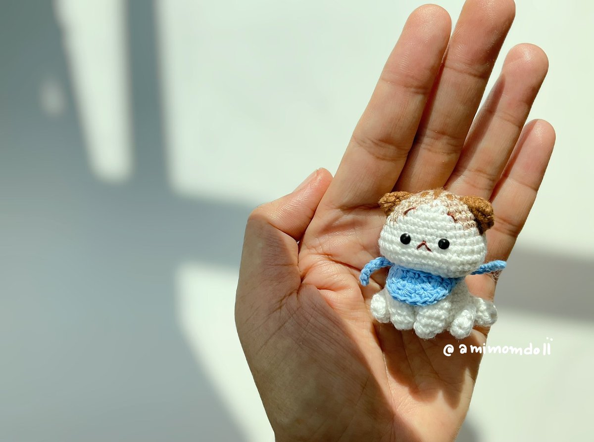 Purchase the pattern on Etsy! 👇🏻

🫶>~< 

etsy.com/listing/139062…

#amigurumi #amigurumis #amigurimilove #amigurumidoll #amigurumitoys #amigurumicrochet #amigurumipattern #amigurumikawaii #amigurumidolls #crochet #crochetdoll #crochetcat #crochetcats #crochetkitten #crochetki